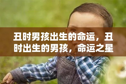 丑时出生的男孩命运之星熠熠生辉，解读命运之路的奥秘
