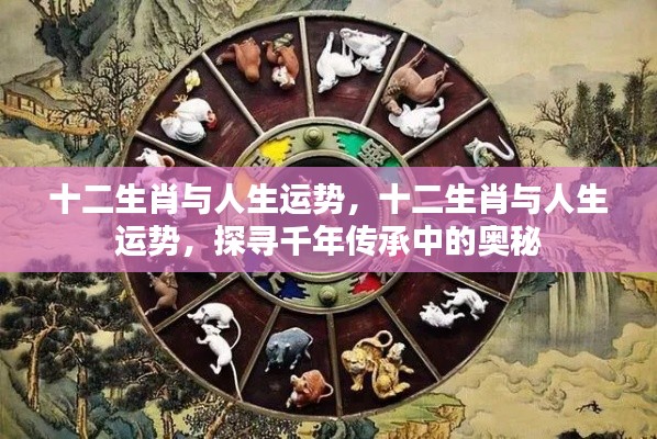 移罇就教 第6页