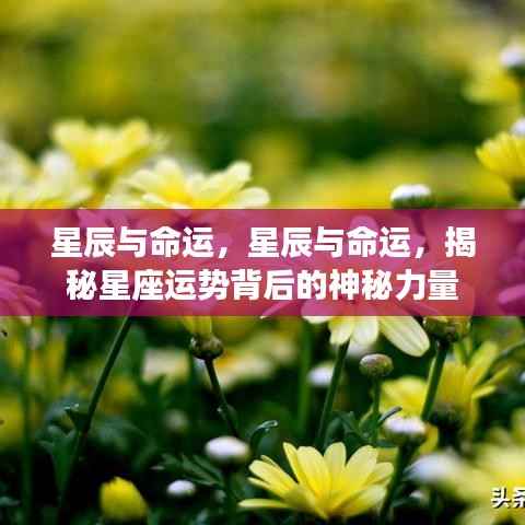 迷离马虎 第6页