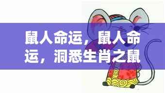 鼠人命运揭秘，洞悉生肖之鼠的运势走向与未来展望