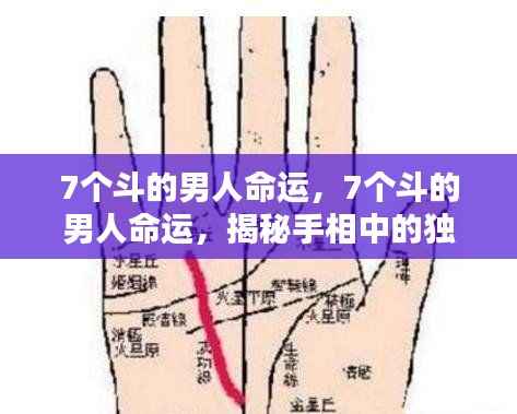 鸷鸟不群 第5页