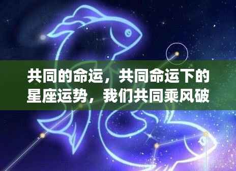 共同命运下的星座运势，乘风破浪的人生旅程