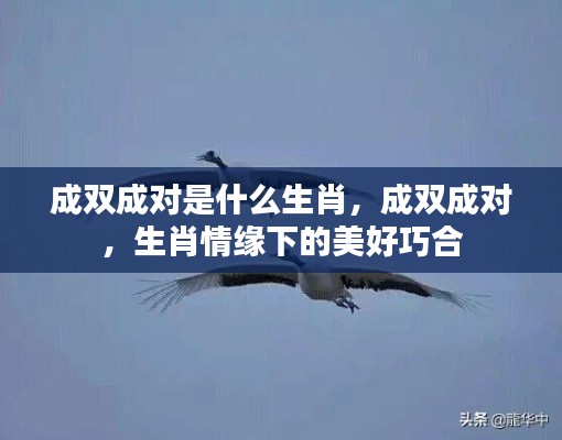 蹑蹻檐簦 第5页