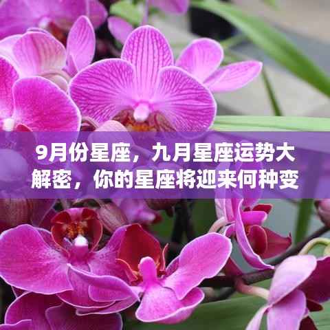 推襟送抱 第6页