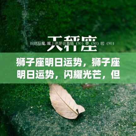 漫天飞舞 第6页