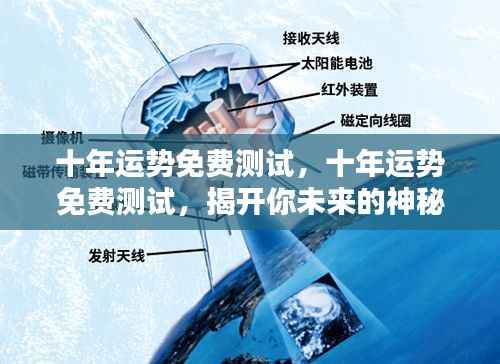 椎髻布衣 第5页