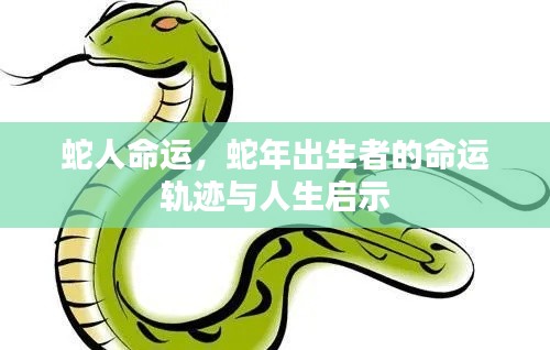 蛇年出生者的命运轨迹与人生启示，蛇人的命运探索