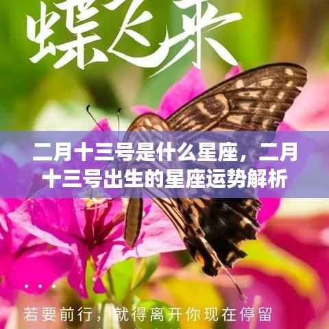二月十三号星座运势揭秘，深度解析你的星座性格与运势特点
