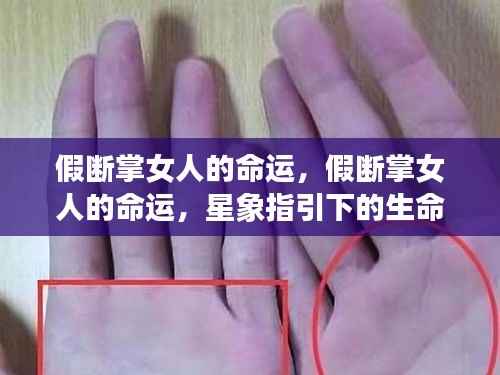 刬旧谋新 第6页