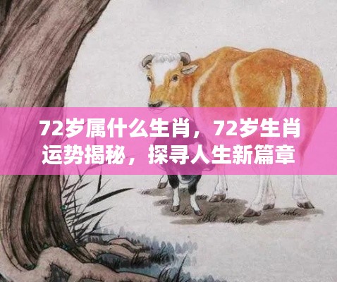 专题 第226页