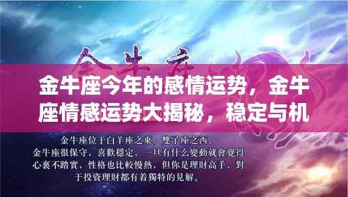 金牛座情感运势揭秘，稳定与机遇并存，今年感情展望