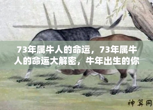 富贵利达 第6页