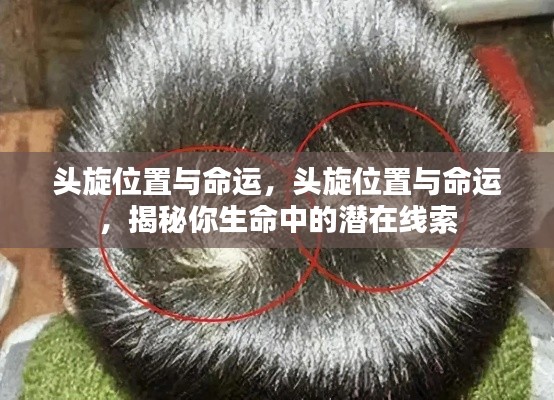 粗心大意 第5页