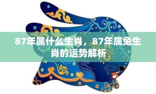 飞黄腾达 第5页