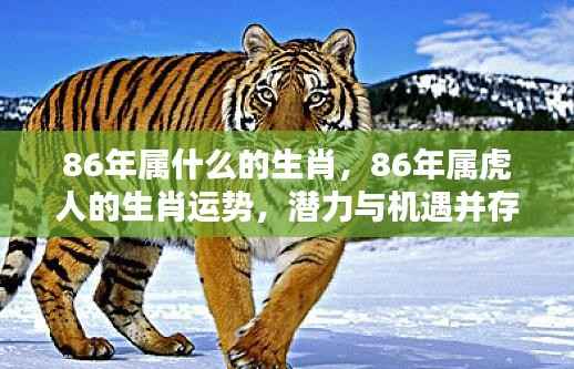 将陋就简 第4页