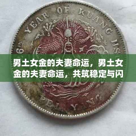 观往知来 第5页