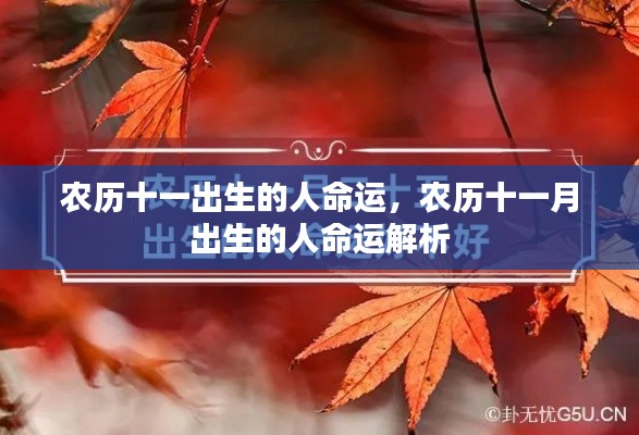 沉厚寡言 第5页