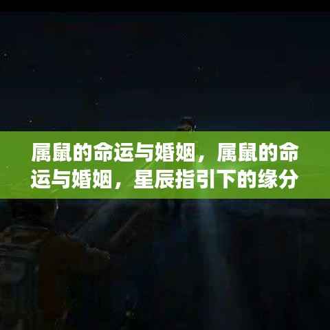 花开无言 第5页