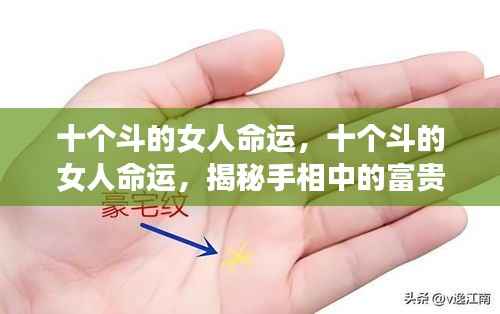 打张鸡儿 第5页