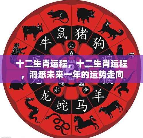 洞悉未来一年运势，十二生肖运程详解