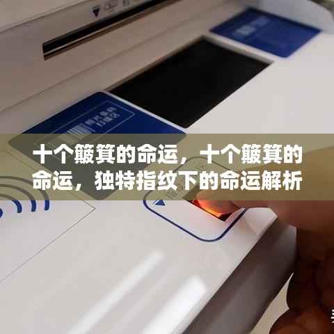 独特指纹下的命运之谜，十个簸箕的命运解析