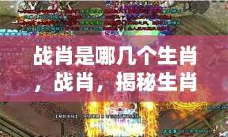 揭秘战肖，哪些生肖展现战斗精神？