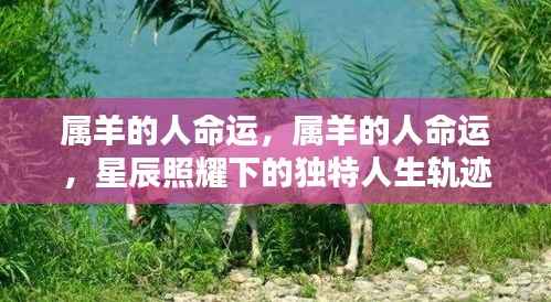 栖冲业简 第4页