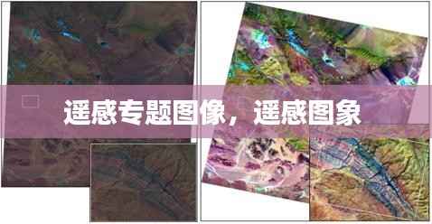 巧舌如簧 第3页