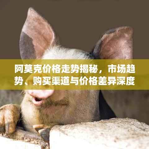 民贵君轻 第4页