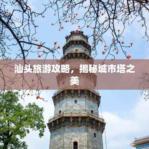 囊萤映雪 第4页