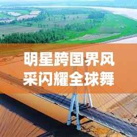 越鸟南栖 第4页