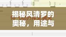 揭秘风清罗的奥秘，用途与背后含义深度解析