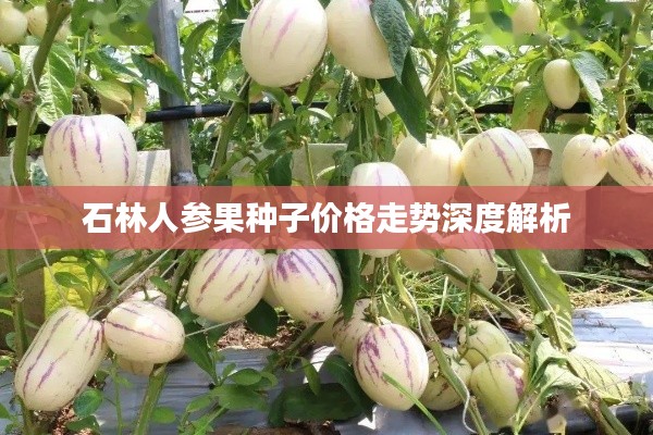 狗尾续貂 第4页