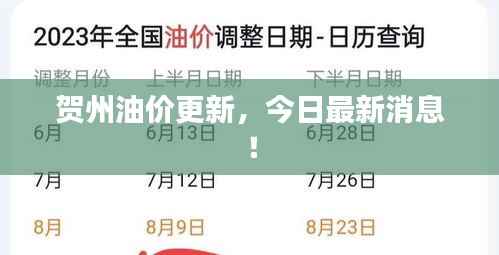 轻徙鸟举 第3页