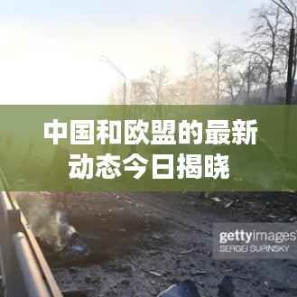 鸟为食亡 第4页