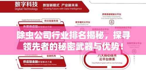 独出新裁 第3页