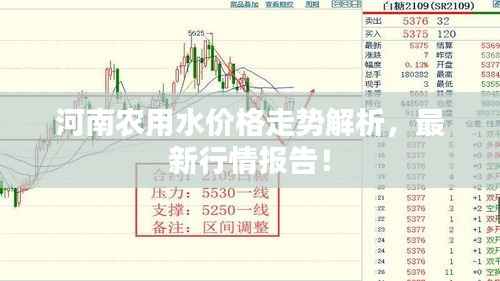 迷离马虎 第3页